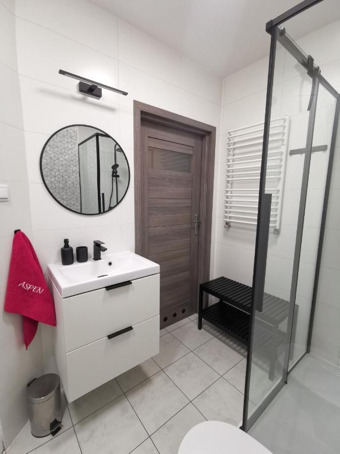 Apartament Aspen - Aprent Daire Świeradów-Zdrój Dış mekan fotoğraf